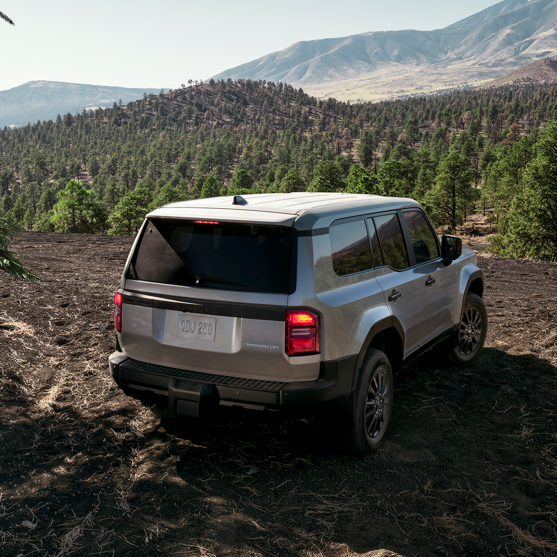 Rear view of a silver Toyota Land Cruiser parked on a forest trail